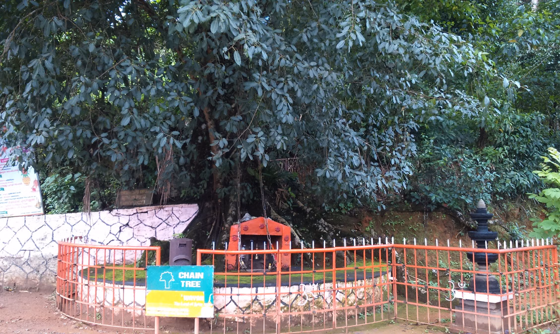 Chain Tree